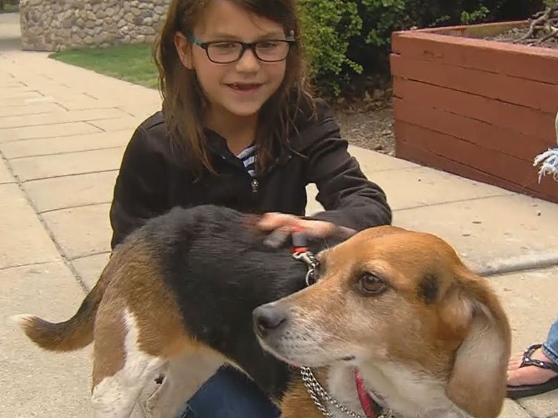 keloland puppies 8 year reunited after 2 years keloland puppies 8 year reunited after 2 years